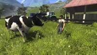 Rinder en der Farming Simulator 2013