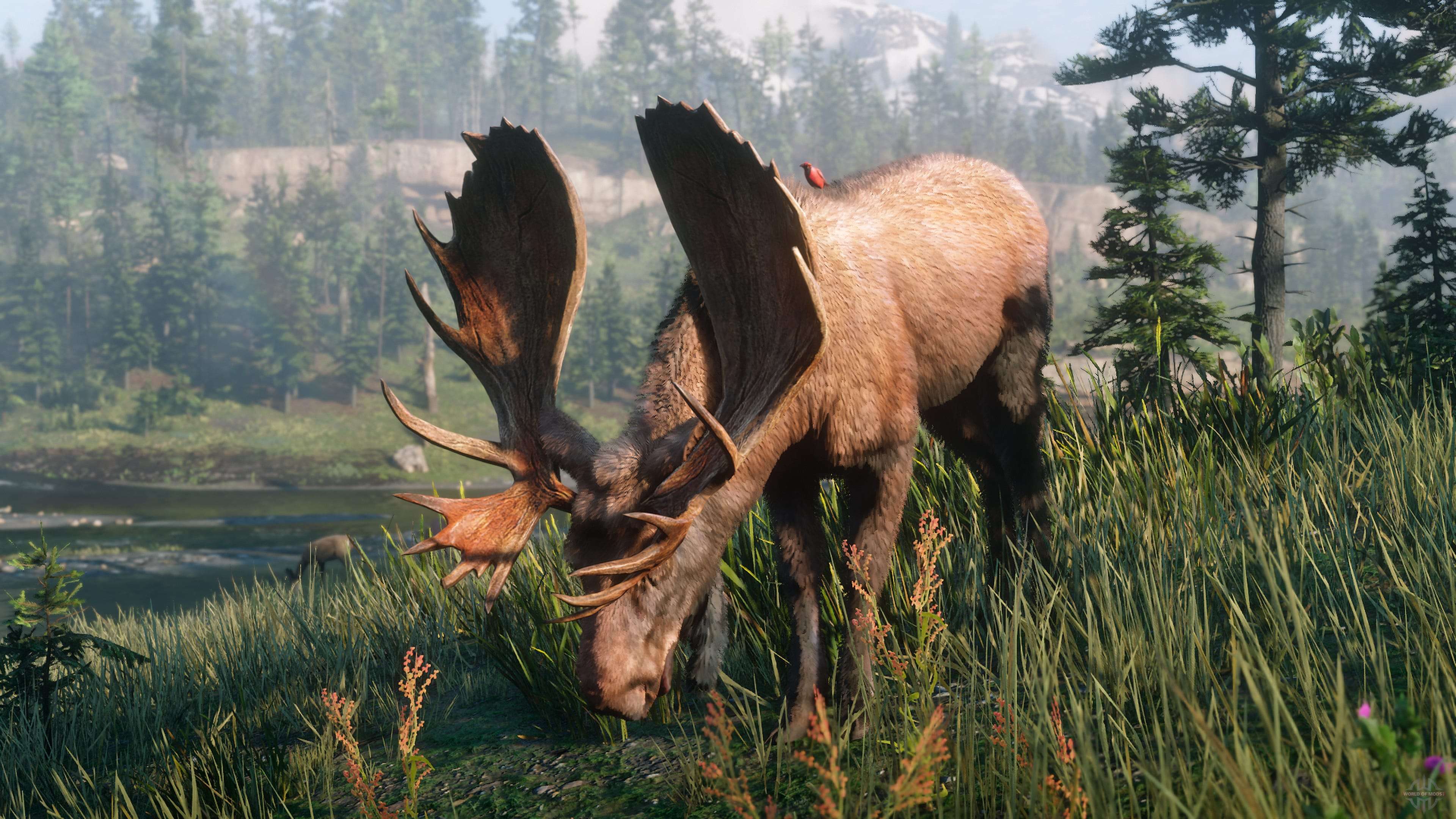 Donde en Red Dead Redemption 2 para observar animales y aves de la tarjeta  de