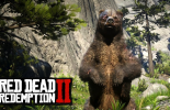 Red Dead Redemption 2: matar al oso