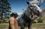 Red Dead Redemption 2: cómo limpiar un caballo