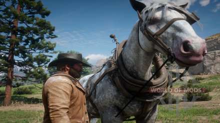 Cómo cepillarse los dientes a un caballo en Red Dead Redemption 2 – consejos para el cuidado de
